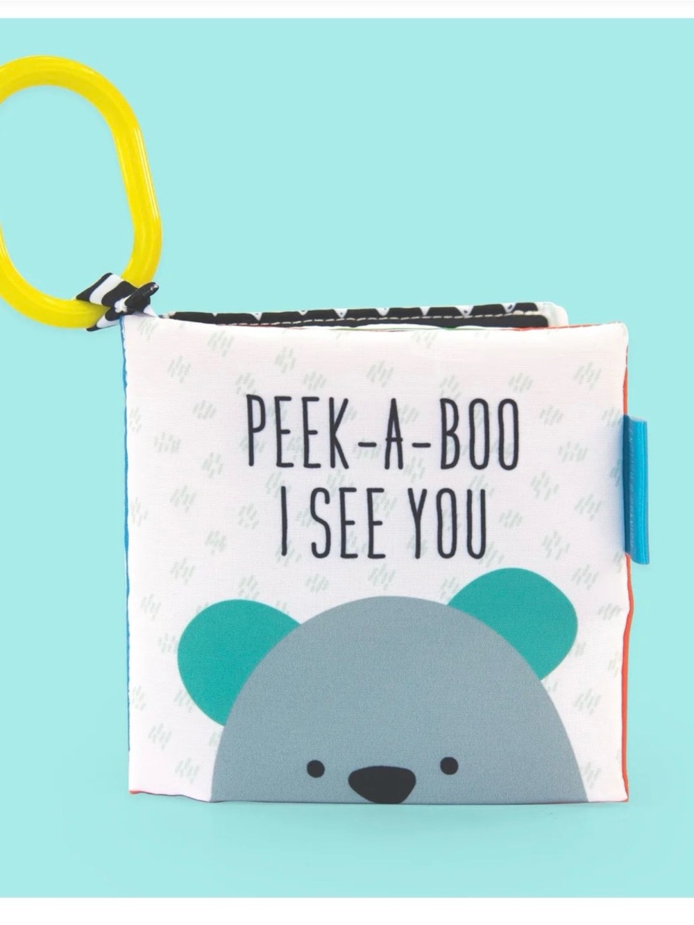 Sassy Peek-A-Boo I See You Teether Book